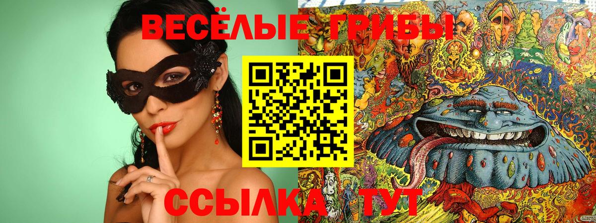 Галлюциногенные грибы Magic Shrooms  Галлюциногенные грибы GOLDEN TEACHER  Вход с VPN  Новосибирск 