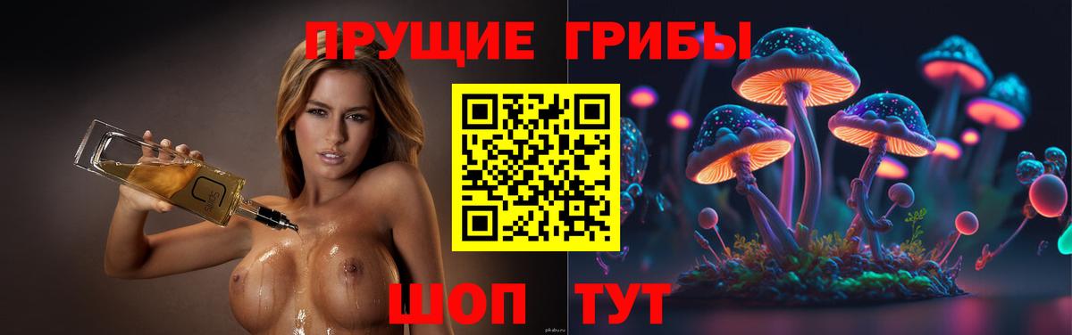 Галлюциногенные грибы GOLDEN TEACHER Новосибирск